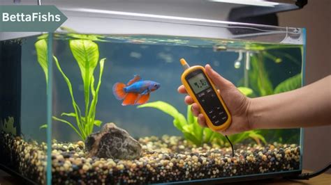 betta fish ph level|Constantly rising pH in planted tank .